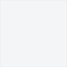 Load image into Gallery viewer, 48" Henry Height Adjustable Desk