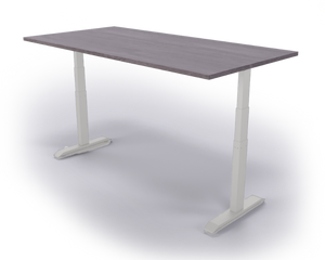 60" Henry Height Adjustable Desk